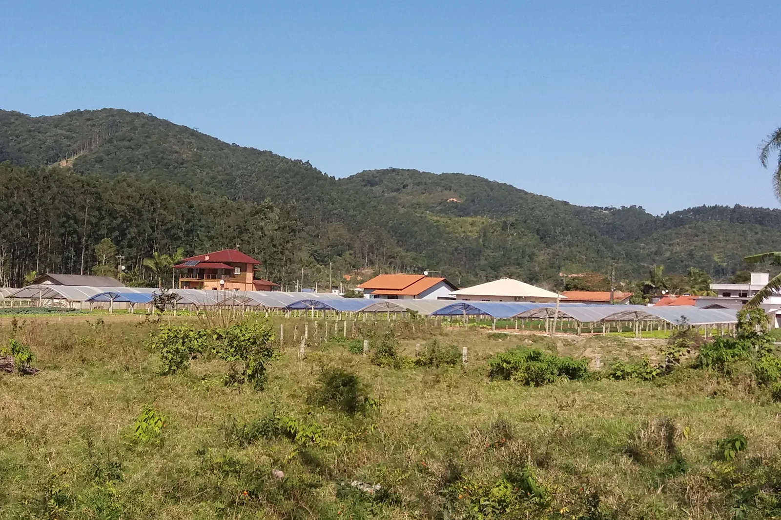 Paisagem rural, morros e moradias de Camboriú, Santa Catarina